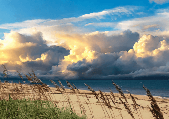 Places to Visit in Vero Beach, Florida