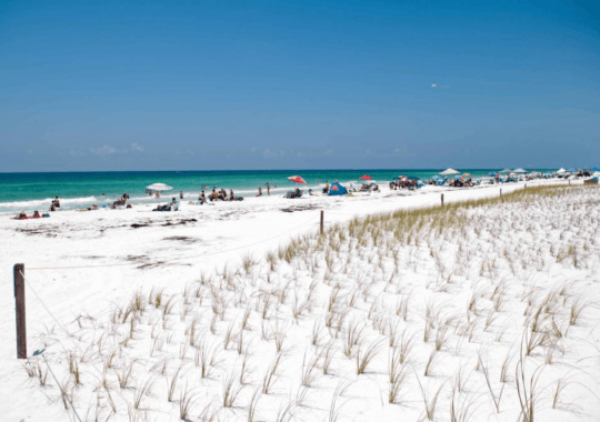 The Exotic Wonders of Panama City Beach, Florida