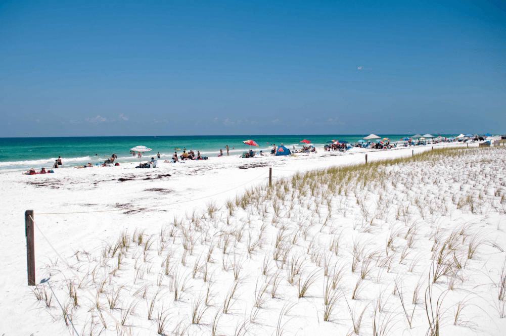 Things to Do in the City of Panama City Beach, Florida