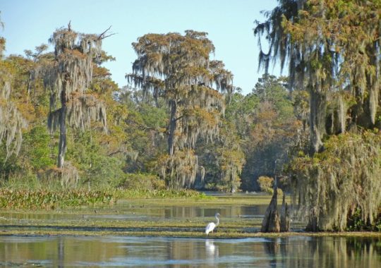 Off the Beaten Path in Northwest Florida