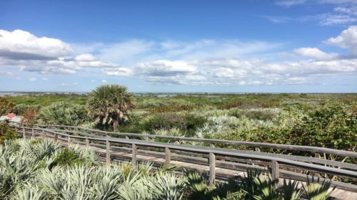 views at Canaveral National Seashore