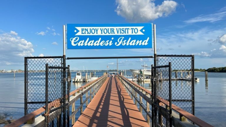 The 15 Awesome Things To Do In Dunedin Florida