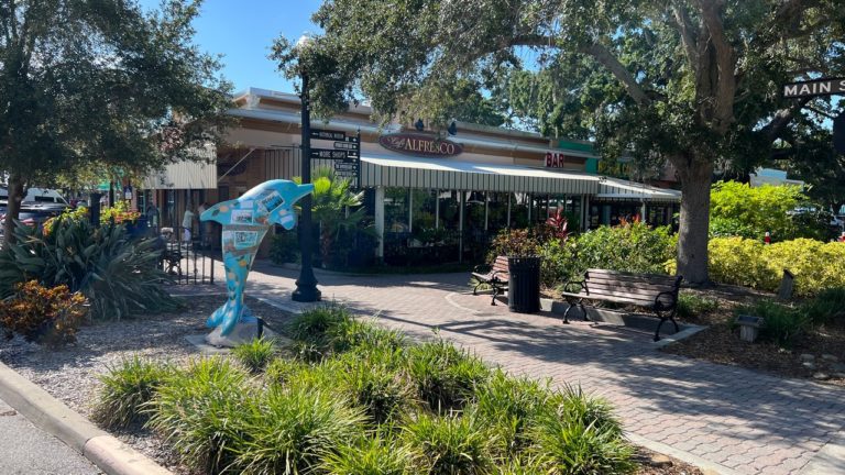 The 15 Awesome Things To Do In Dunedin Florida