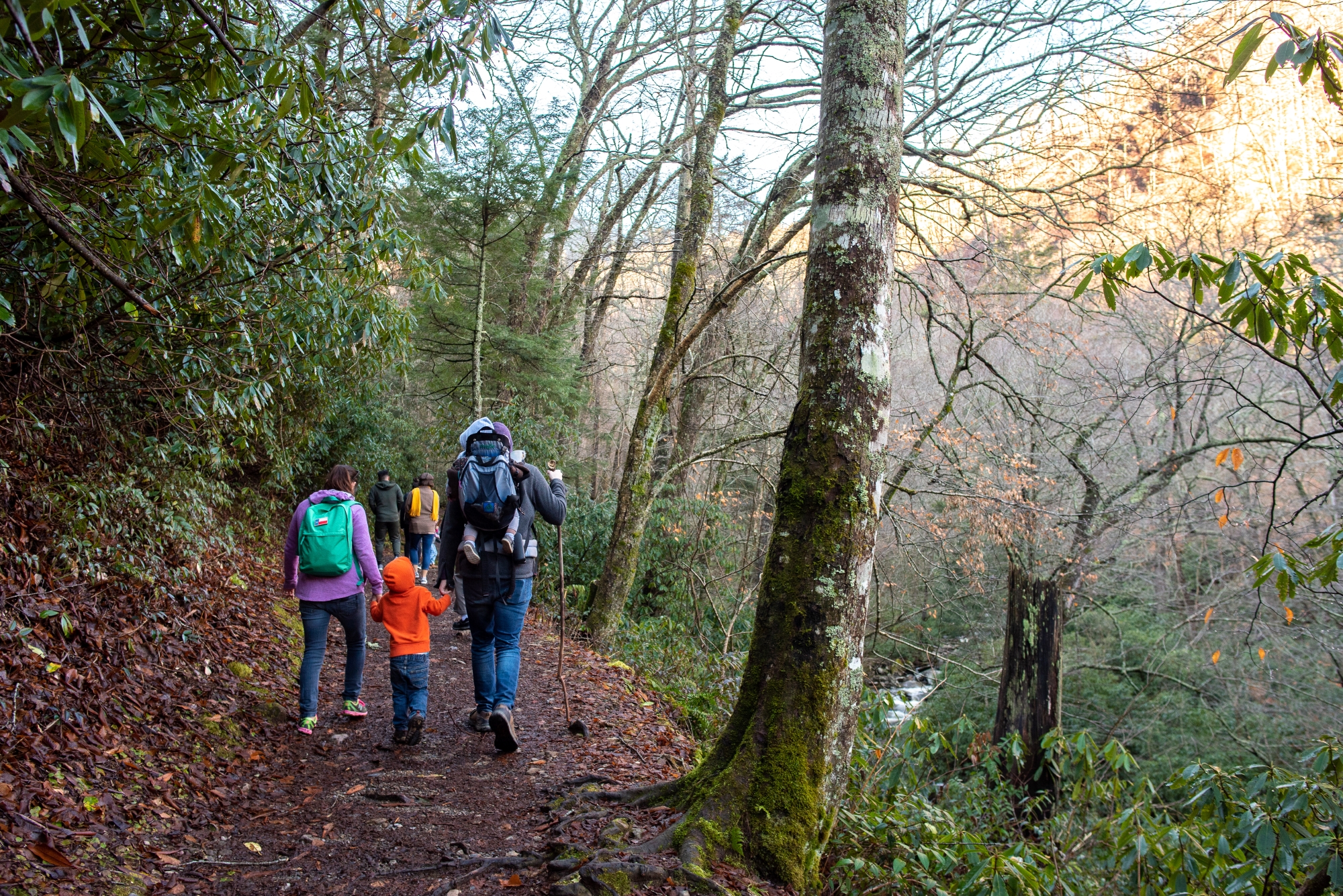 Planning the Perfect Family Reunion in the Smokies