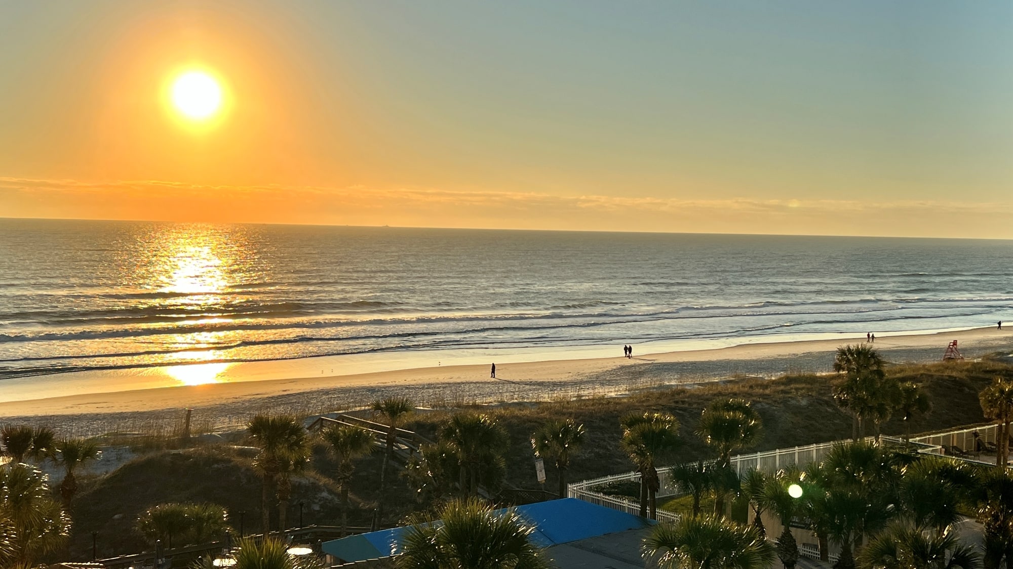 Your Winter Guide to Jacksonville