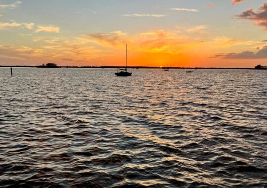 The Snowbird Effect: How Seasonal Residency Impacts Florida’s Rodent Problems