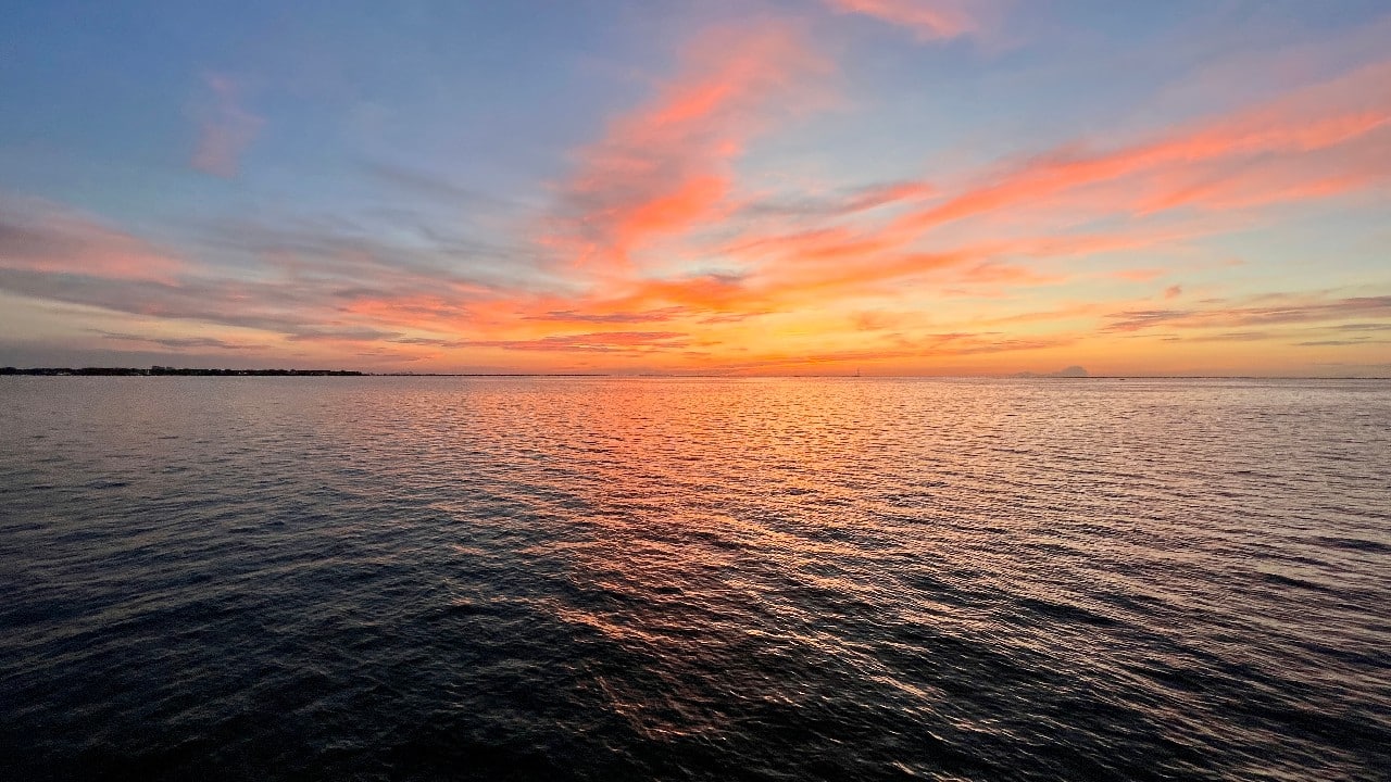 St. Pete Pier Activities